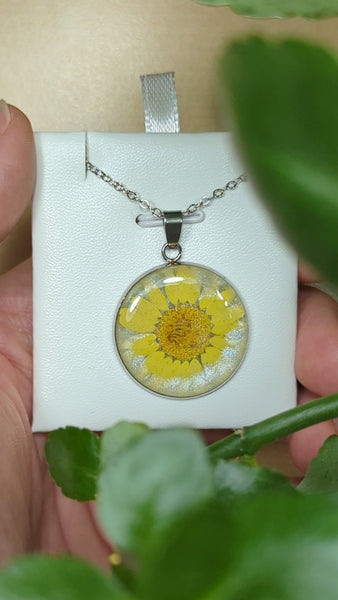 SMALLER PENDANTS FORMS OF NATURE