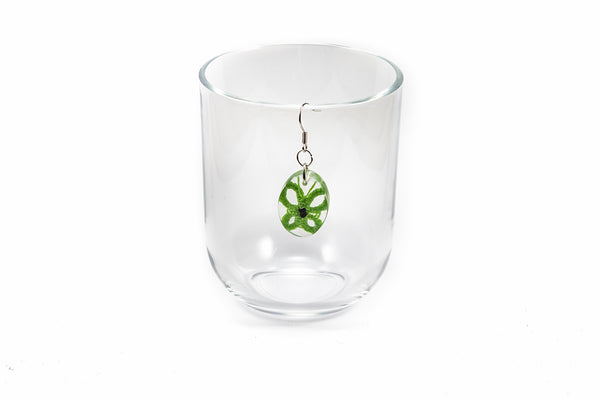 OVAL BUTTERFLY EARRINGS IN DIFFERENT COLORS