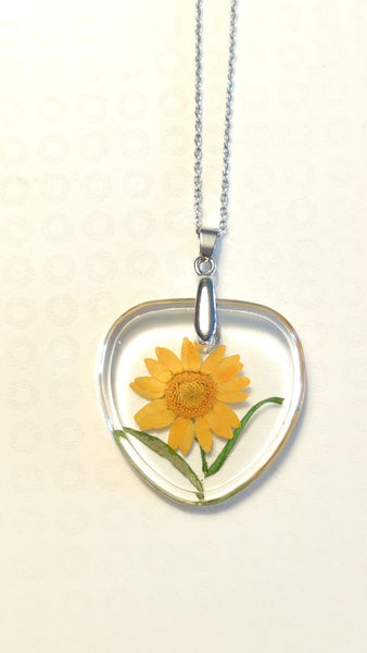 PENDANTS FORMS OF NATURE VARIOUS