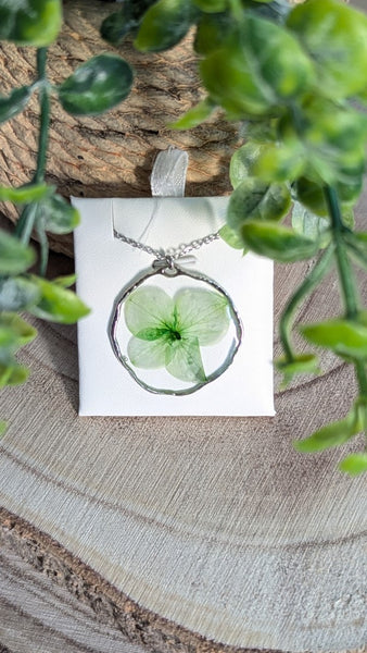 OGRLICE FRAME CVET