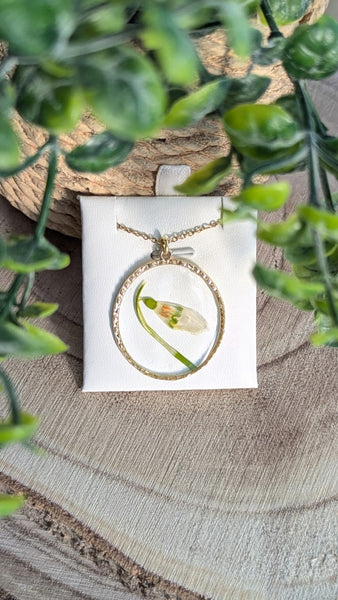 OGRLICE FRAME CVET